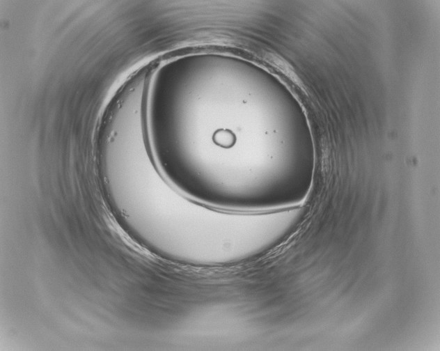 X0000060241116200511111922