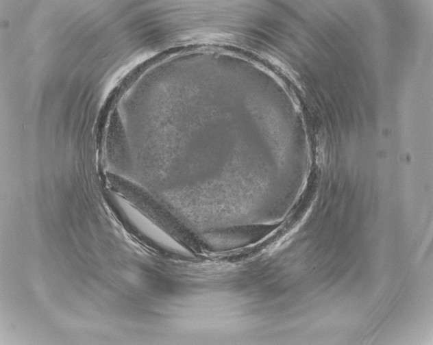 X0000060241117200511111922