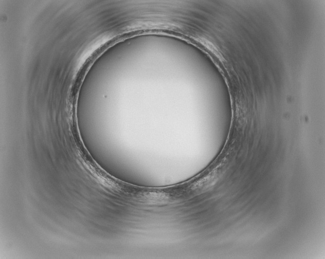 X0000060241119200511111922