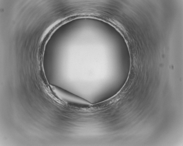 X0000060241120200511111922