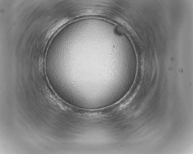 X0000060241121200511111922