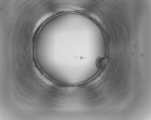 X0000060241122200511111922