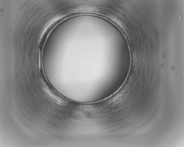 X0000060241123200511111922