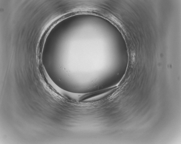 X0000060241124200511111922