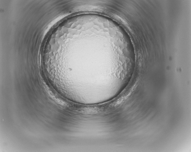 X0000060241125200511111922