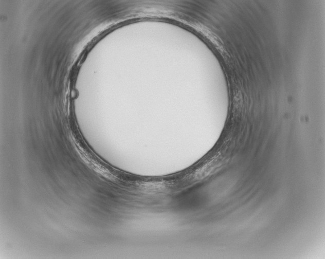 X0000060241126200511111922