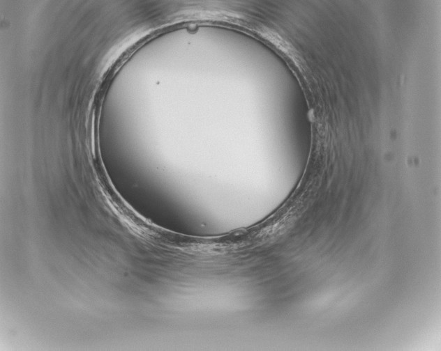 X0000060241127200511111922