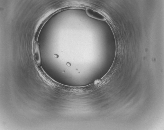 X0000060241128200511111922