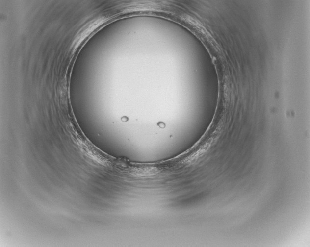 X0000060241129200511111922