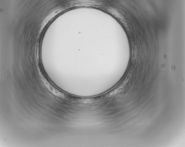 X0000060241130200511111922