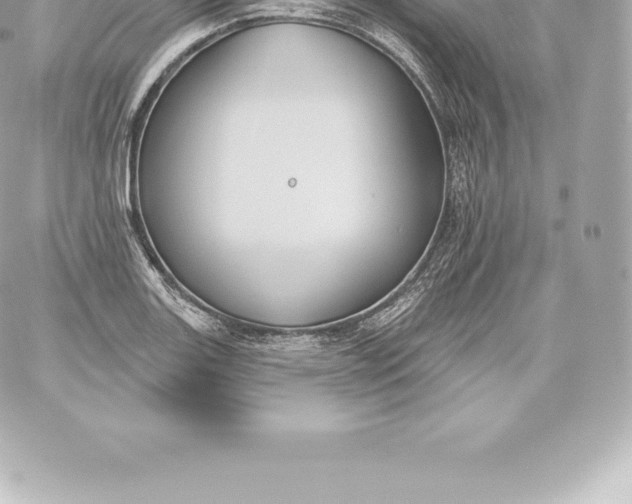 X0000060241131200511111922