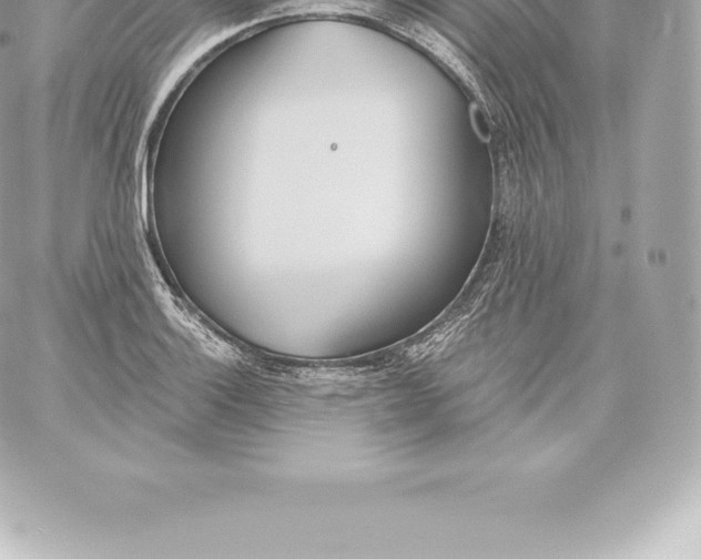 X0000060241132200511111922