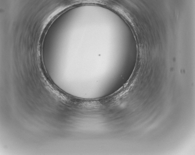 X0000060241133200511111922