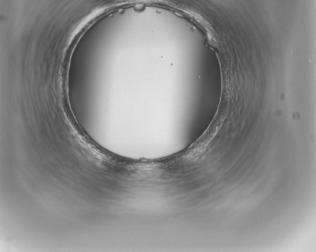 X0000060241134200511111922