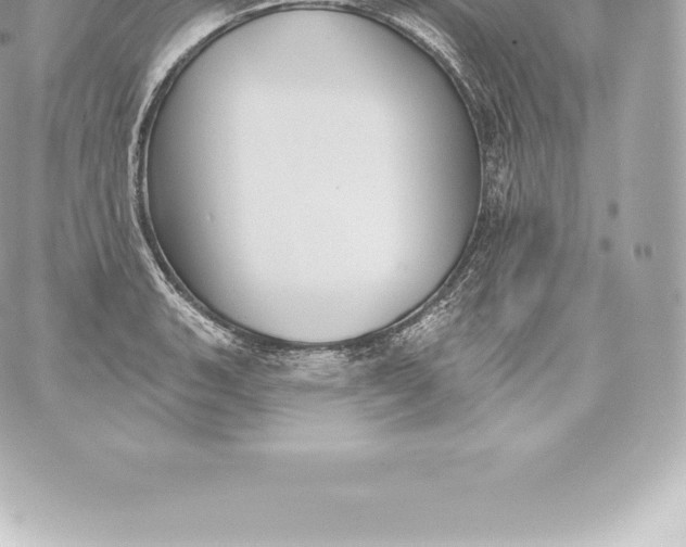 X0000060241135200511111922