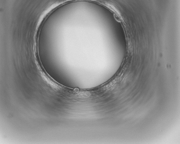 X0000060241136200511111923