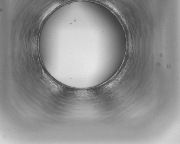 X0000060241137200511111923