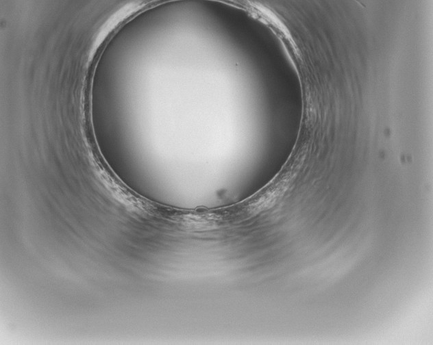 X0000060241138200511111923