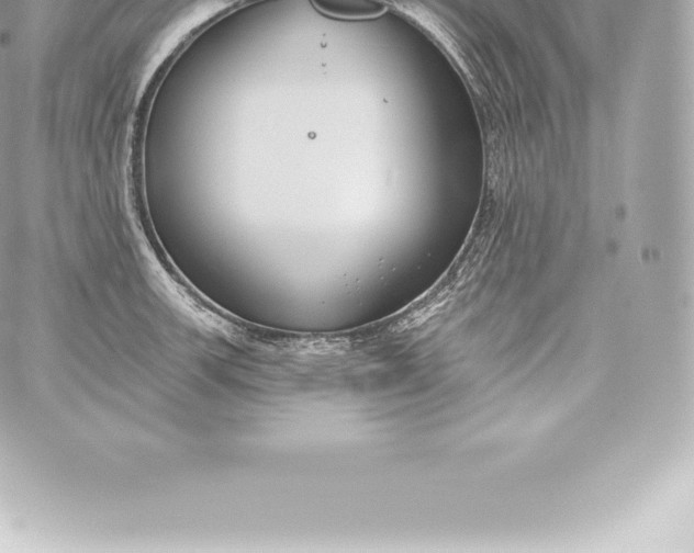 X0000060241139200511111923