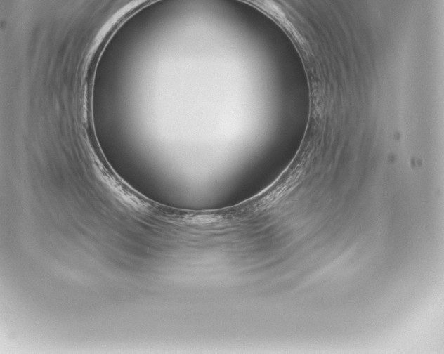 X0000060241140200511111923