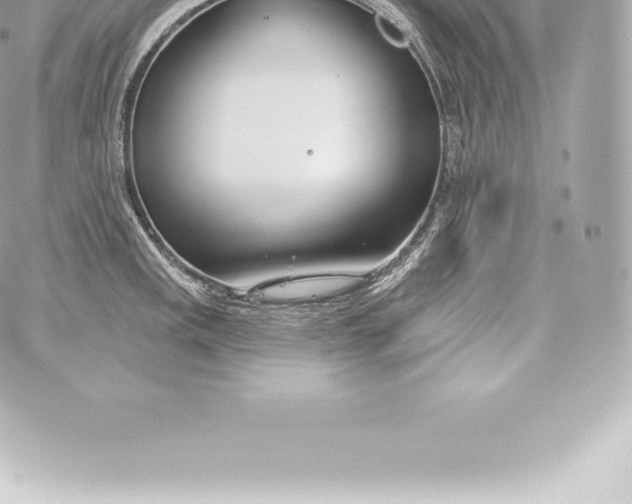 X0000060241141200511111923