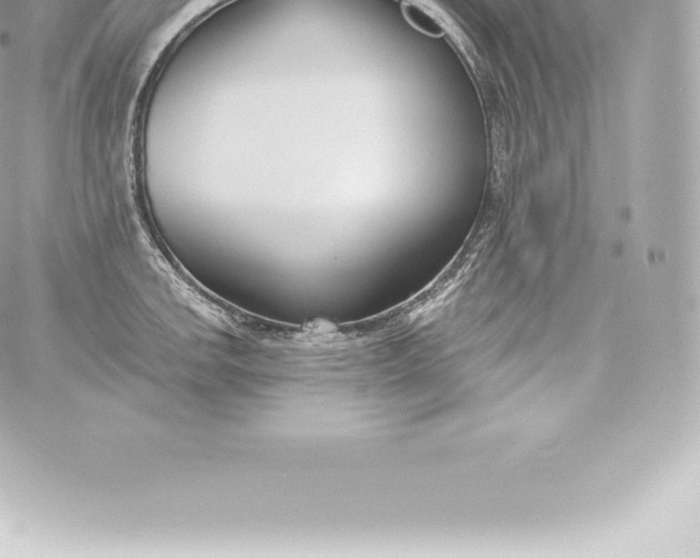 X0000060241142200511111923