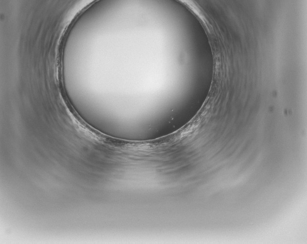 X0000060241143200511111923