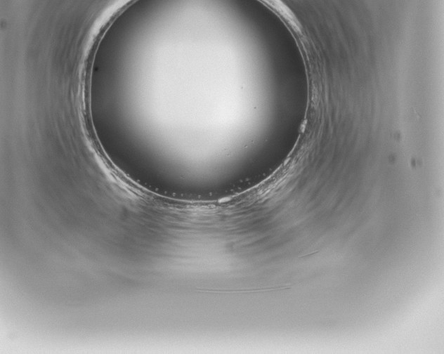 X0000060241144200511111923