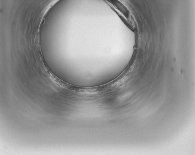 X0000060241145200511111923