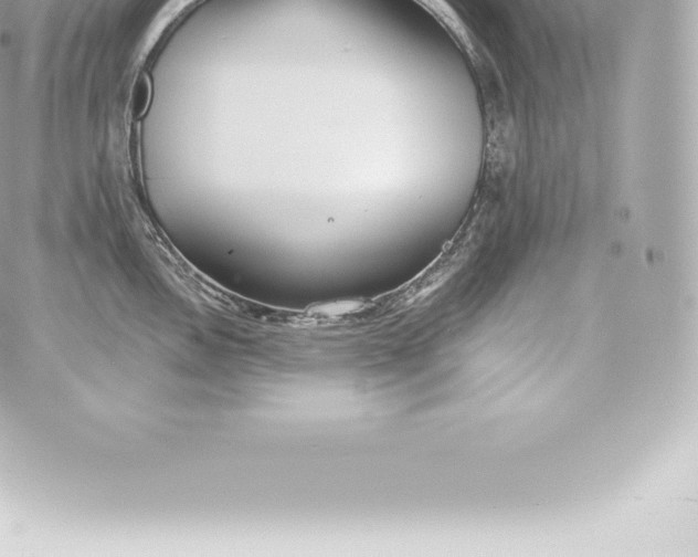 X0000060241146200511111923