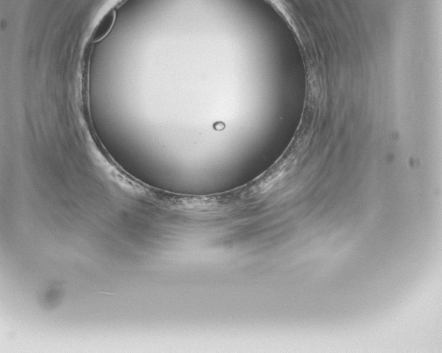 X0000060241147200511111923