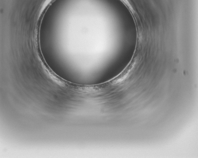 X0000060241149200511111923