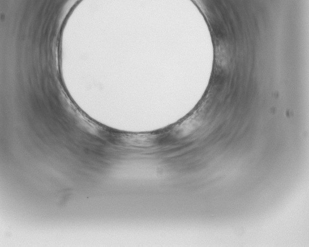 X0000060241150200511111923