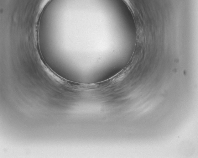 X0000060241151200511111923