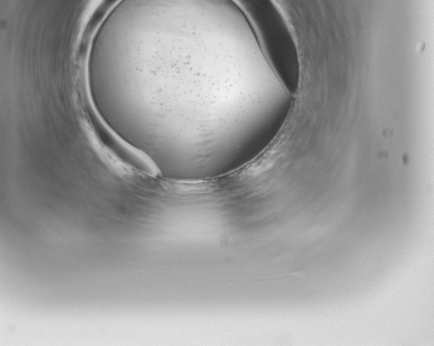 X0000060241152200511111923