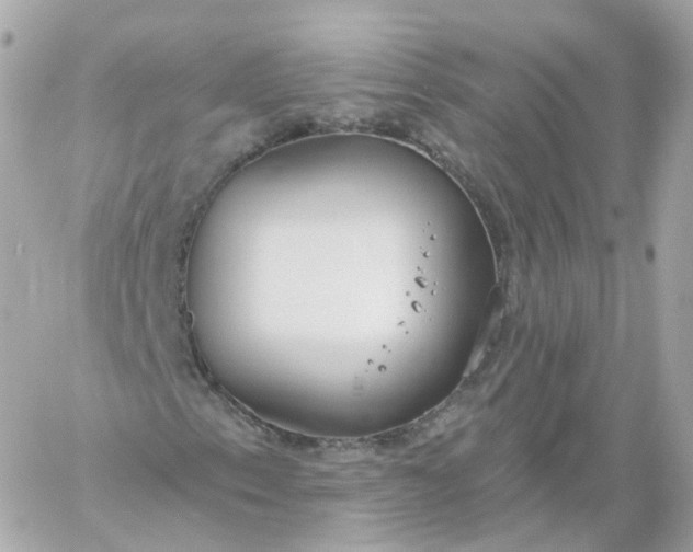 X0000060241153200511111922