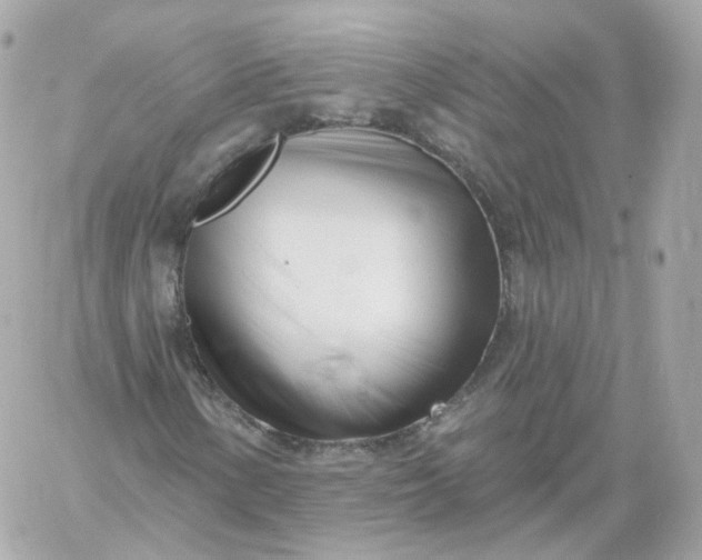 X0000060241154200511111922