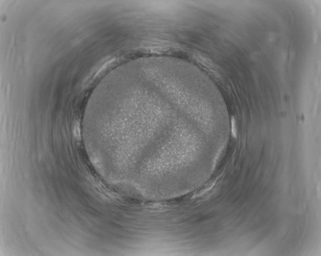 X0000060241155200511111922