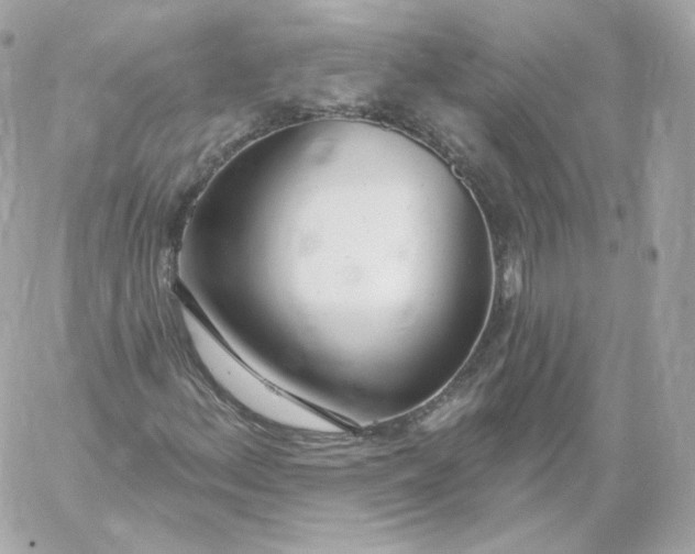 X0000060241156200511111922