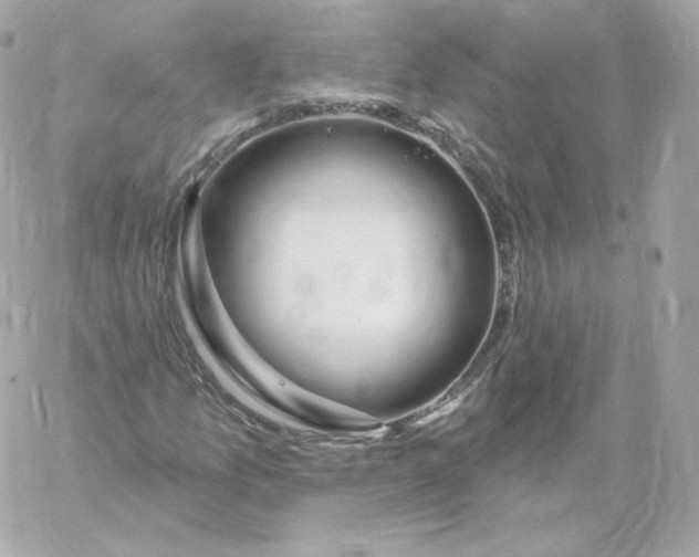 X0000060241157200511111922