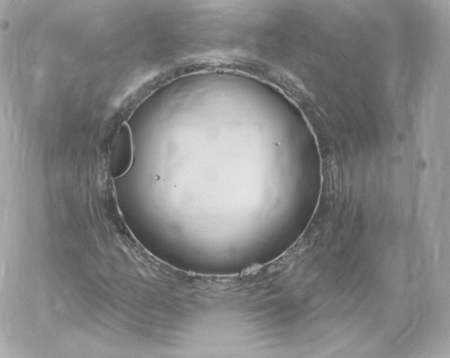 X0000060241158200511111922