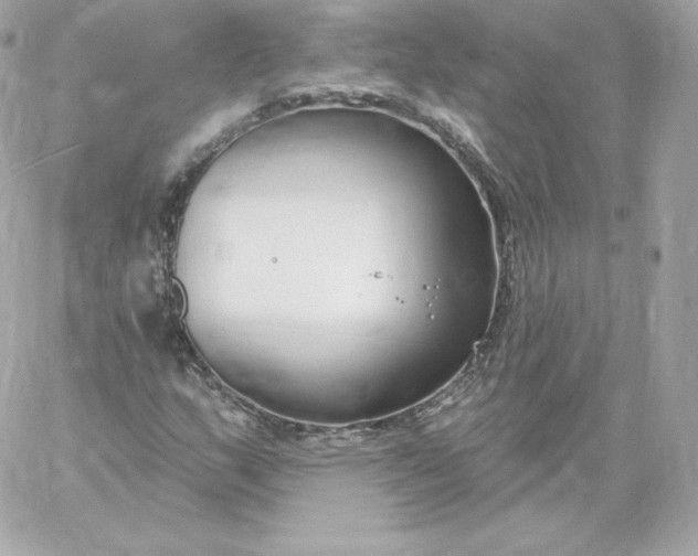 X0000060241159200511111922