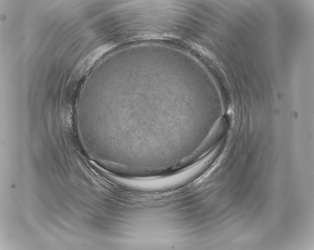 X0000060241161200511111922