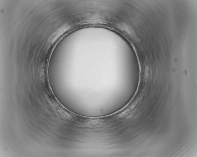 X0000060241162200511111922