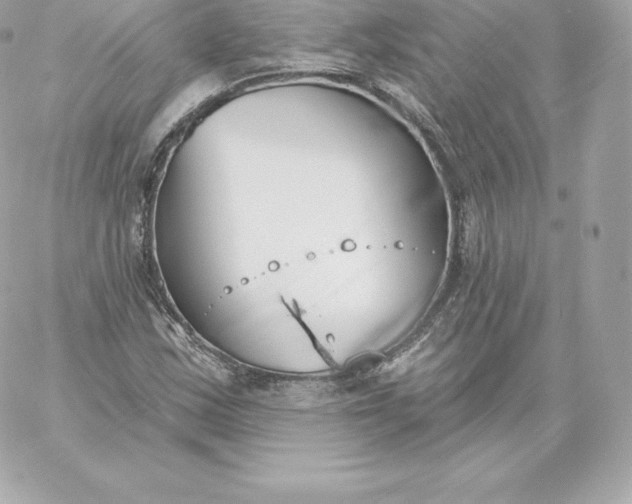 X0000060241163200511111922