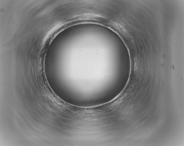 X0000060241164200511111922