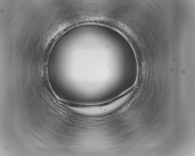 X0000060241165200511111922