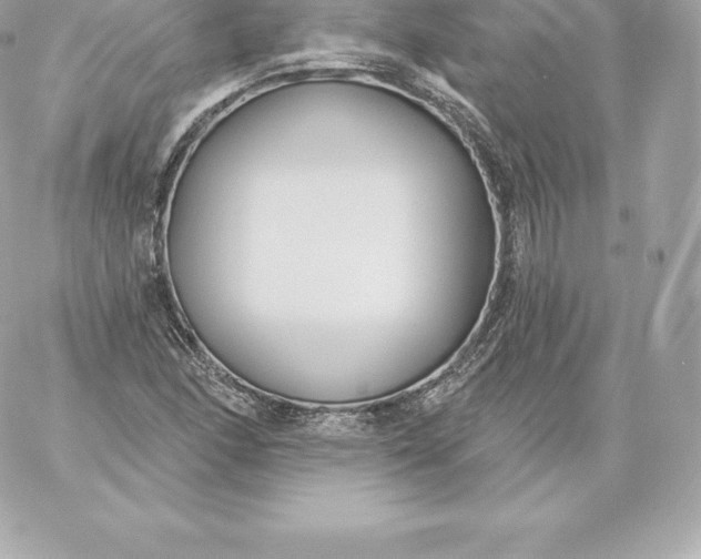 X0000060241166200511111922