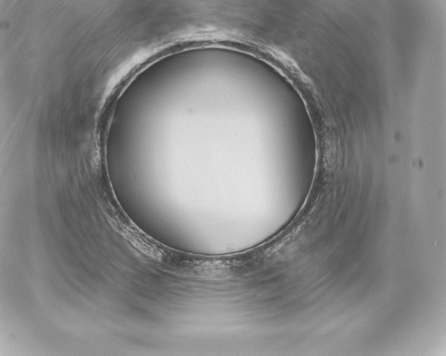 X0000060241167200511111922