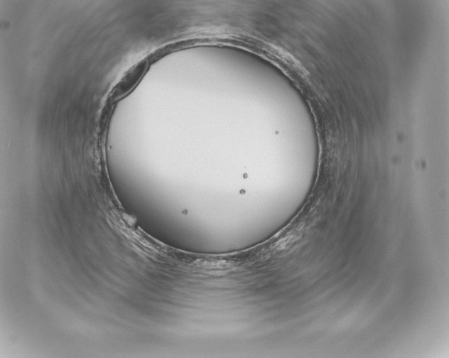 X0000060241168200511111922